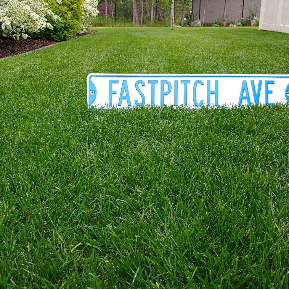 Fastpitch Metal Street Sign - Purple & White – NEW